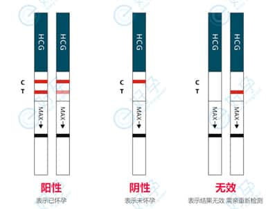 做试管胚胎着床需几天？移植后有哪些注意事项？