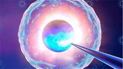 第三代试管婴儿，基因筛查会损害胚胎质量吗？