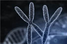 哪些情况会引发染色体异常？夫妻携带致病基因怎么办？