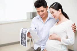试管助孕成功后，孕早期如何预防流产？