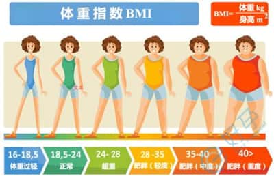 BMI体重指数是如何影响试管成功率的？