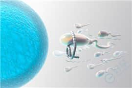 抗精子抗体是什么？去泰国做试管婴儿可行吗？