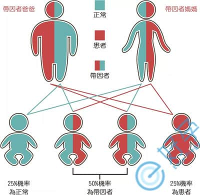 夫妻一方或双方有遗传病还能生孩子吗？