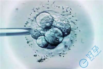 胚胎碎片率.jpg