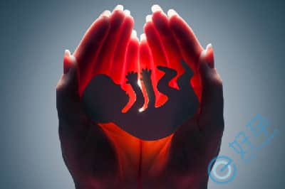 做泰国试管婴儿要注意哪些影响胚胎着床的因素？