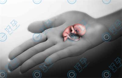 胚胎反复着床失败与什么有关？怎样提高胚胎着床率?