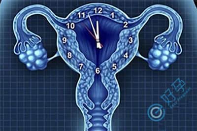 卵巢早衰的女性去泰国做试管婴儿，几次能成功？