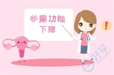 卵巢早衰的女性去泰国做试管婴儿，几次能成功？