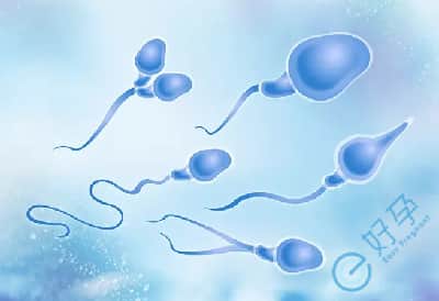 精子畸形与胎儿畸形有直接关系吗？做试管可以避免吗？