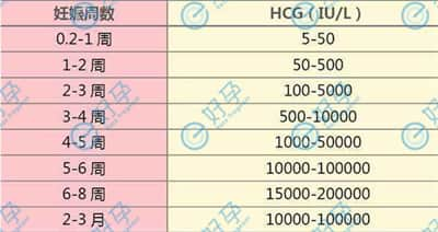 试管移植后，HCG血值达到多少说明是双胎？