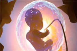去泰国做试管前，如何养出胚胎容易着床的子宫？
