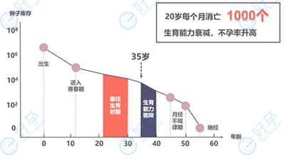 错过试管婴儿容易成功的年龄，怎样争取成功?