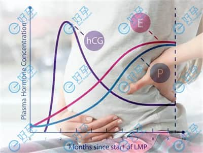 错过试管婴儿容易成功的年龄，怎样争取成功?