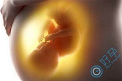 胚胎冷冻时间过长还可以移植吗？对成功率是否有影响？