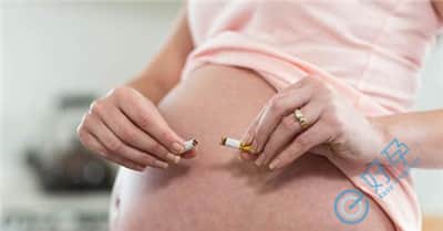 抽烟、喝酒、熬夜对去泰国做试管婴儿有没有影响？