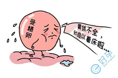 黄体功能不足去泰国做试管婴儿，有哪些好孕对策？
