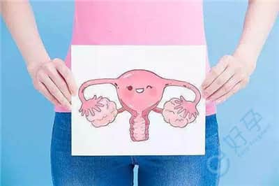 去泰国做试管婴儿，为囊胚营造一个舒适的子宫内环境