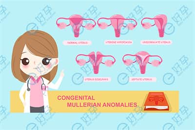 去泰国做试管婴儿，为囊胚营造一个舒适的子宫内环境