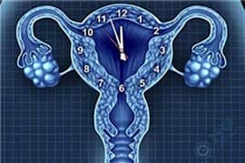 卵巢功能低下致孕力流失-年龄如何影响卵巢功能?