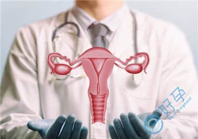 试管助孕前分析：腺肌症会影响囊胚着床吗？