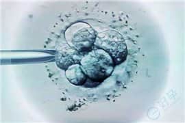 试管胚胎碎片率高是卵子原因还是精子问题？