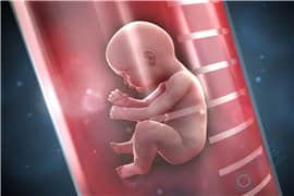 试管婴儿胚胎着床的过程是怎么样的？着床失败的常见原因
