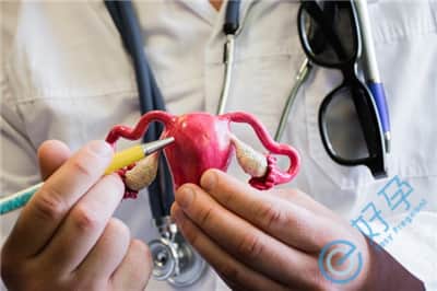 试管婴儿期间有必要做宫腔镜检查吗？检查的意义在哪？