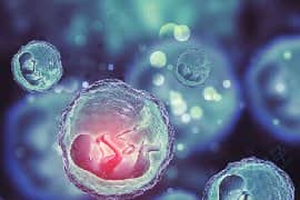 导致囊胚基因异常的原因分析-试管婴儿如何检测？