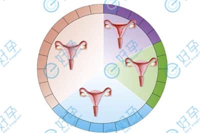 做试管婴儿从哪些方面提高子宫内膜容受性？