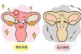 卵巢功能低下与卵巢早衰的区别，试管如何助孕？