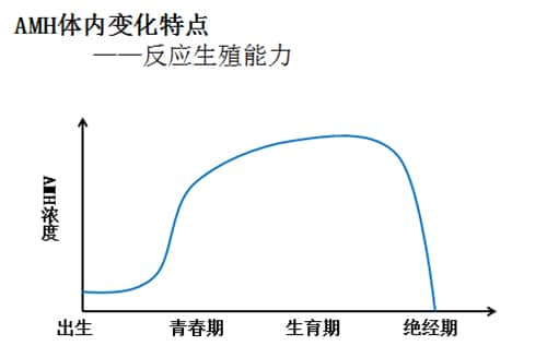 做试管婴儿移植后没怀孕，下一步该怎么办？