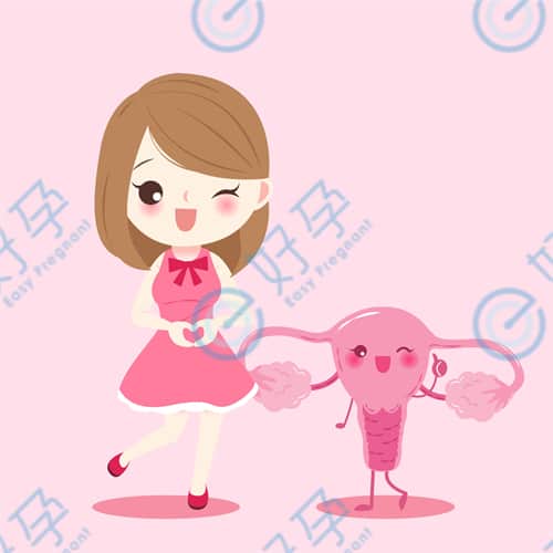 试管婴儿宫腔镜在什么时候做？对子宫的要求是什么？