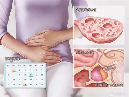 什么是排卵障碍？是否都需要通过试管技术助孕？