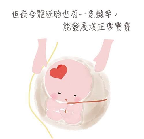去泰国做试管婴儿，嵌合体胚胎移植的成功率高不高？
