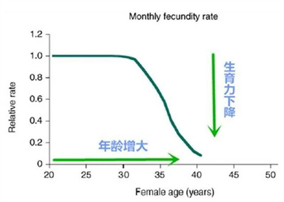 试管婴儿想“一击即中”，收好这5条建议！