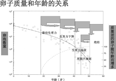 试管婴儿想“一击即中”，收好这5条建议！