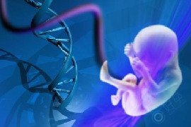 曾怀过基因异常的宝宝，做试管能实现优生吗？