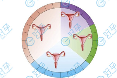 做试管婴儿如何提高子宫内膜容受性，助好孕？