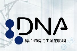 精子DNA碎片：生育路上的隐形“绊脚石”