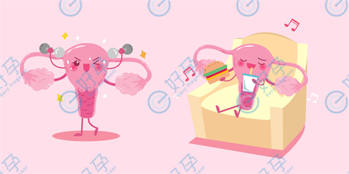 雌激素水平对试管婴儿的成功率有影响吗？