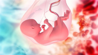 试管婴儿周期对子宫内膜的要求，若不理想怎么办？