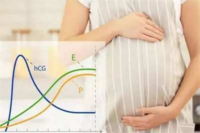 孕酮对于试管婴儿周期的指导意义有多大？