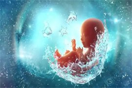 孕育新生命，从养出优质卵泡开始——试管婴儿前的准备之道
