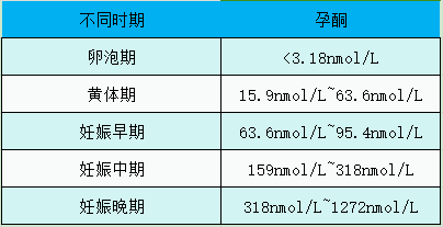试管婴儿周期中，什么时间移植胚胎成功率会比较高？