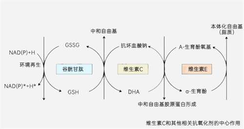反向备孕最大的坑：备孕营养素「选不对」帮倒忙！
