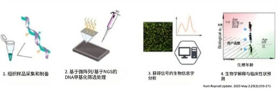为什么试管婴儿取到多颗卵子，但所配成的胚胎数量少？