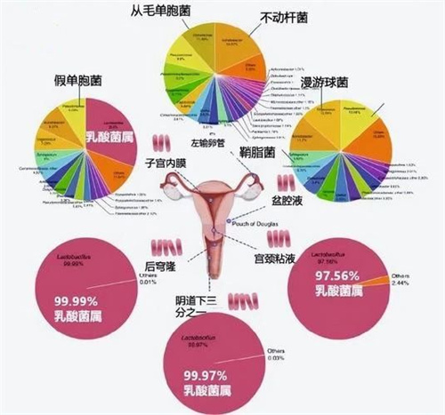 这个隐匿的“胚胎杀手”，99%的人都不知道！