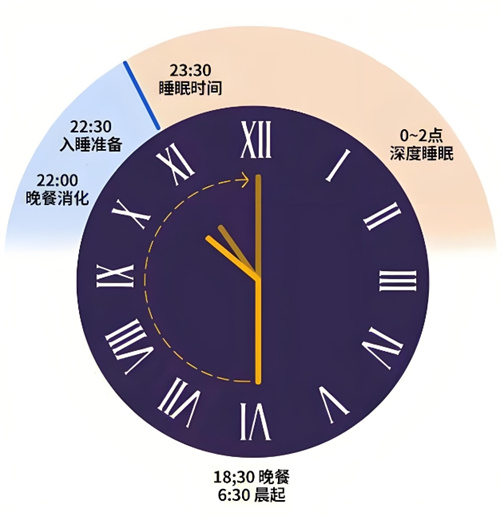 做试管期间，学会科学睡觉真的可以“躺赢”吗？