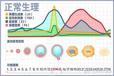 试管促排取卵女性体内的激素水平如何变化？