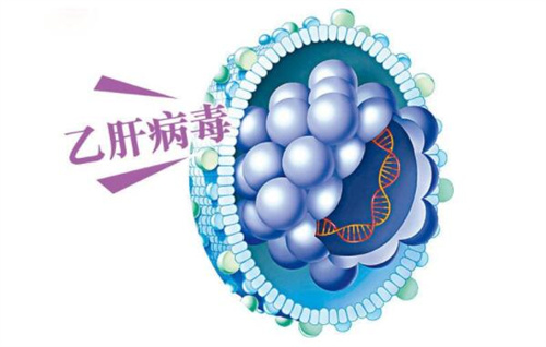 乙肝病毒呈阳性能做试管婴儿吗？